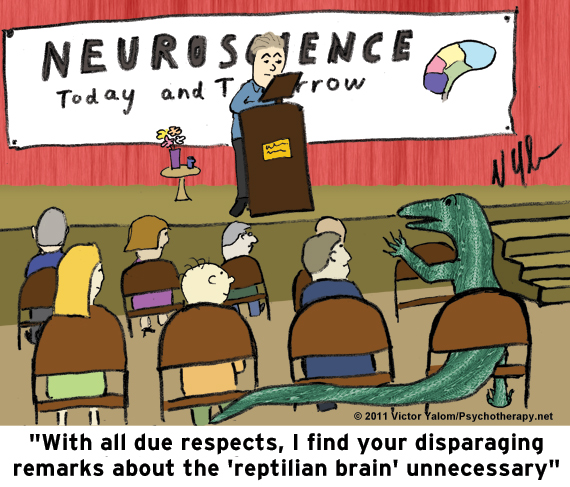 Interpersonal Neurobiology Misses