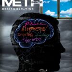 Meth Inside Out: II. Brain & Behavior