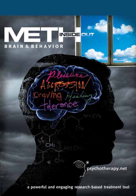 Meth Inside Out: II. Brain & Behavior