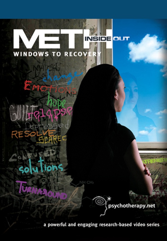 Meth Inside Out: III. Windows to Recovery