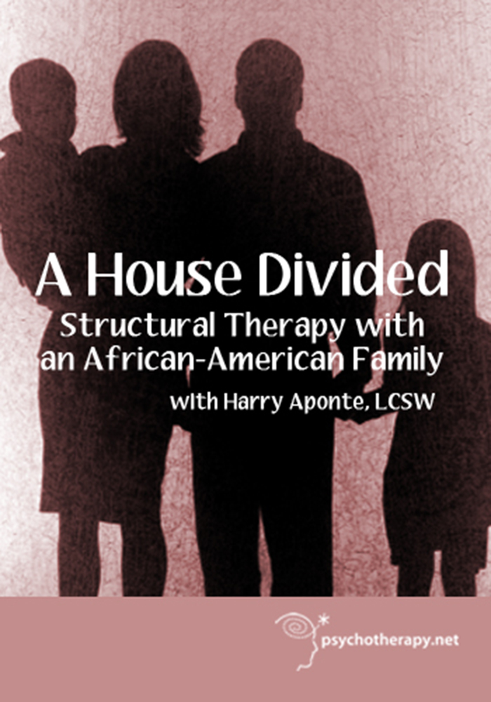 A House Divided: Structural Therapy with a Black Family